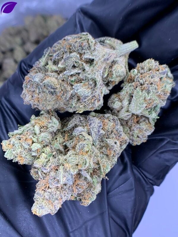 Molotov Cocktail THCa Flower