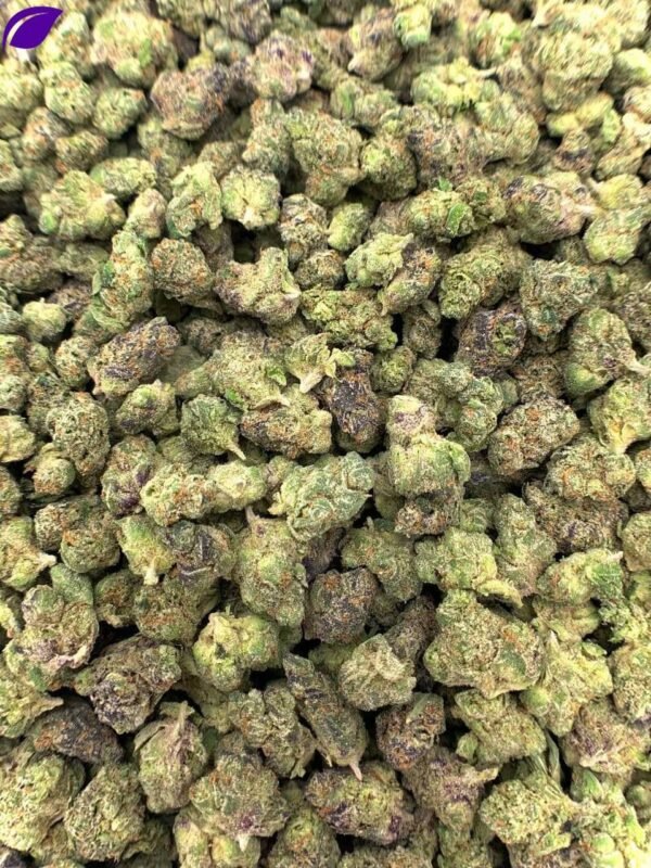 Afro Runtz Exotic THCa Flower - Image 2