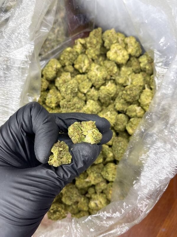 Apple & Bananas CBD Strain - Image 3