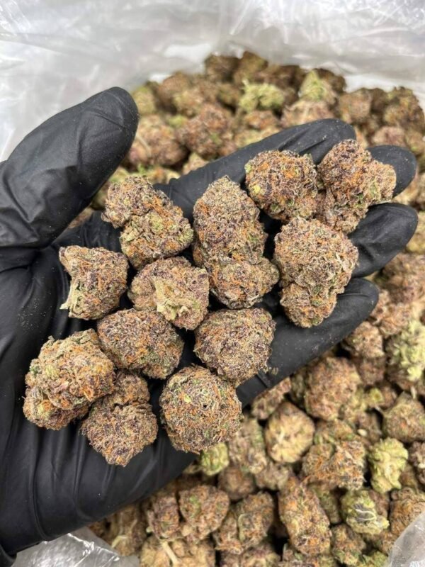 Apple Fritter THCa Flower