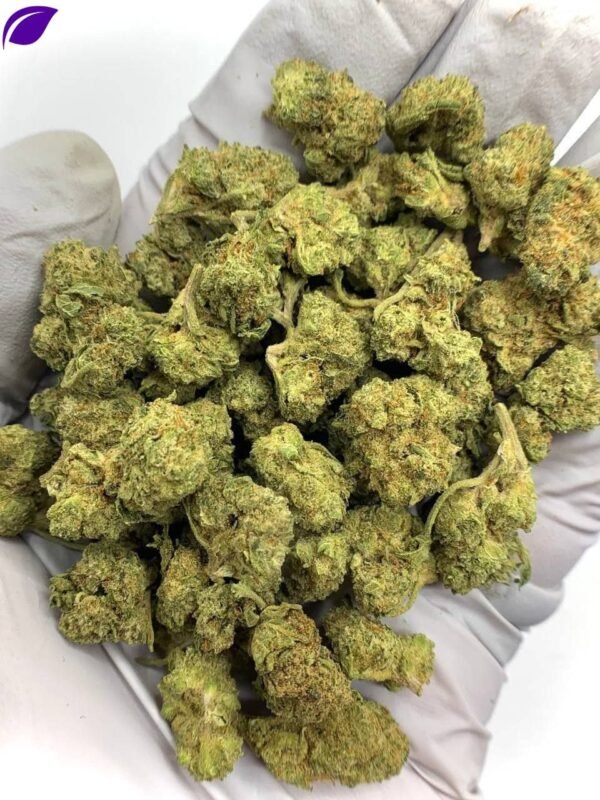 Apple Tartz THCa Flower