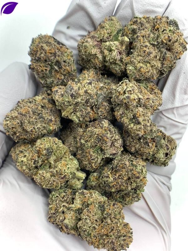 Archive Runtz Exotic THCa Flower