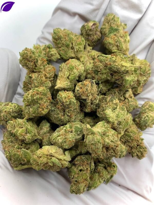 Astro Candy Exotic THCa Flower