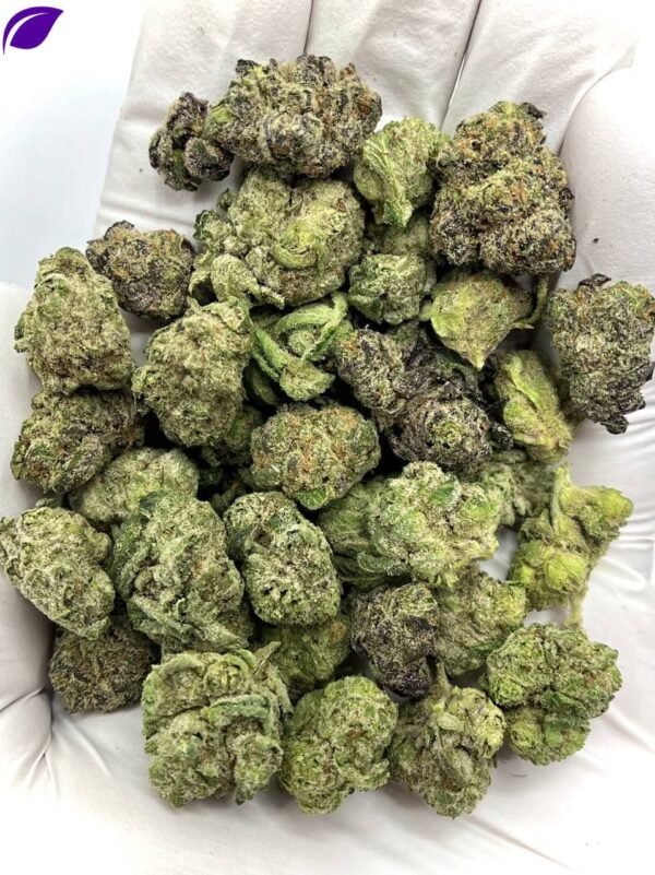 Baby Jokerz THCA Flower