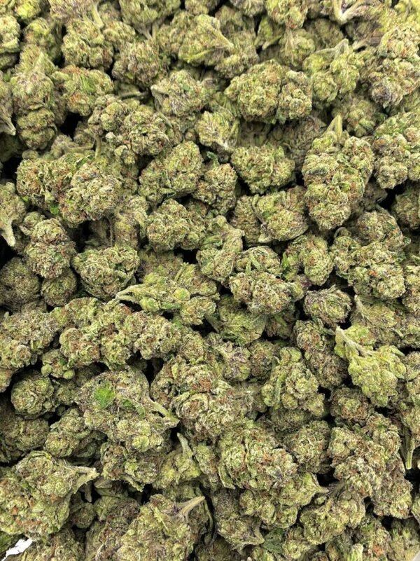 Baby Runtz THCa Flower - Image 2