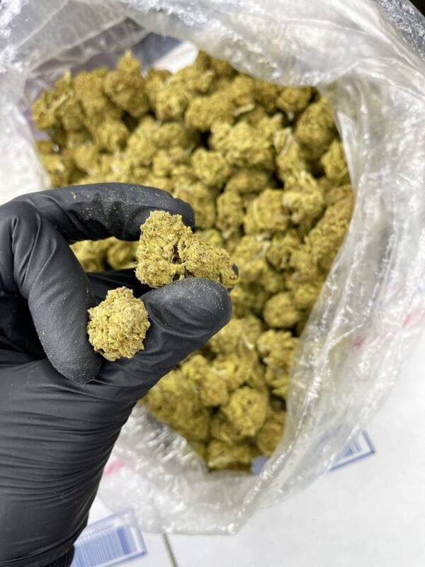 Berry White Indoor CBD Strain - Image 2
