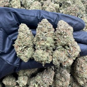 Birthday Cake Indoor CBD Strain