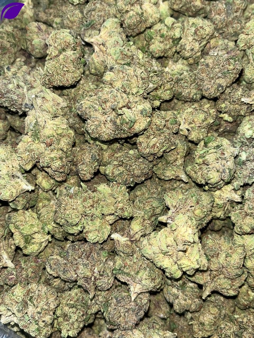 Black Runtz THCa - Image 2