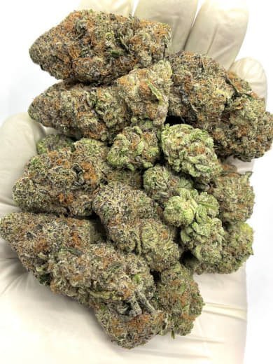 Black Russian THCa Flower