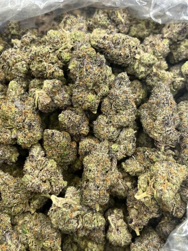 Blood Pie Indoor CBD Strain