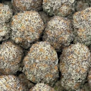 Blue Cookies THCa Flower