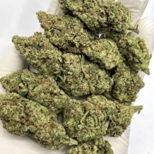 Blue Haze THCa Flower