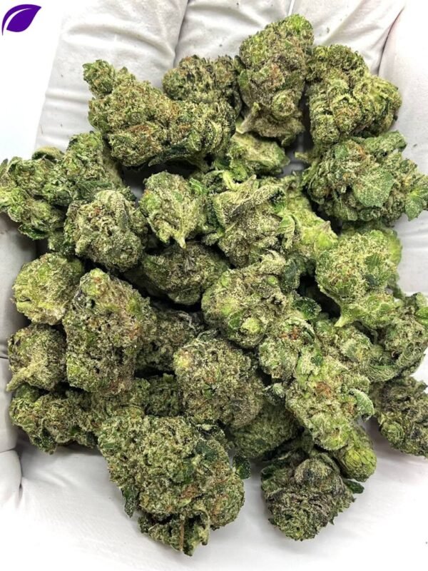 Blue Zushi THCA Flower
