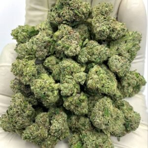 Bolo Runtz THCa Flower
