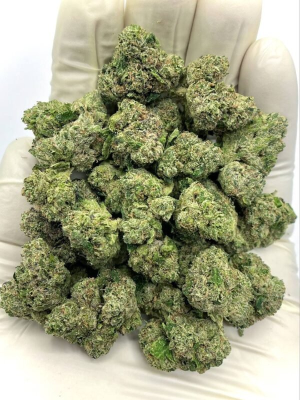 Bolo Runtz THCa Flower