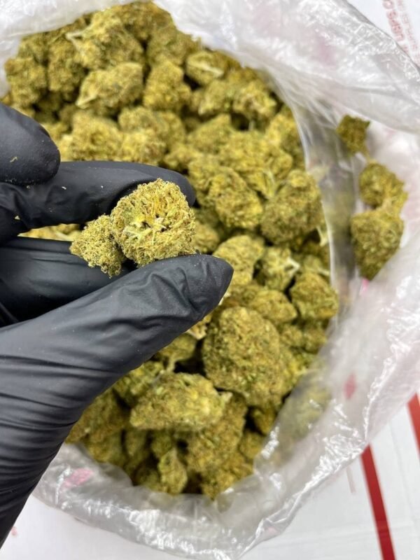 Bubba #6 CBD Strain - Image 2