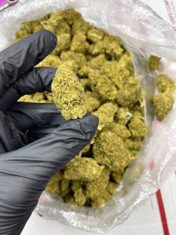 Bubba #6 CBD Strain - Image 3