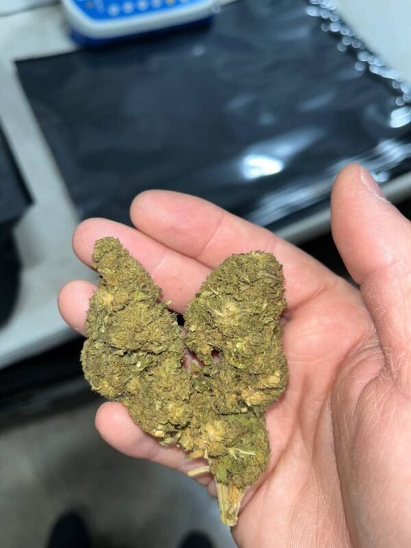 Bubba kush smalls CBD Strain