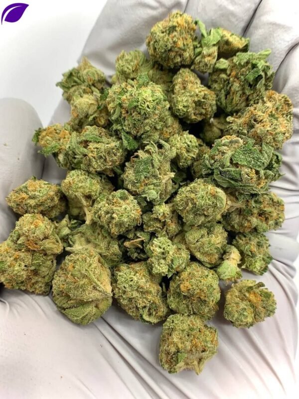Bubble Bath THCa Flower
