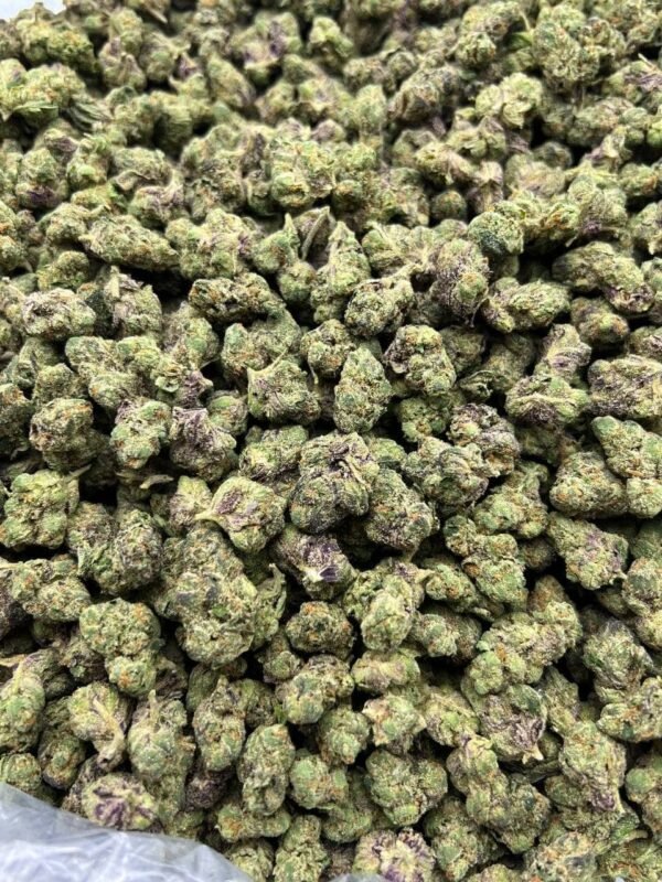Bubble Gum Gelato Smalls Indoor CBD Strain