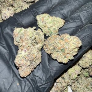 Bubble Gum Gelato THCa Flower