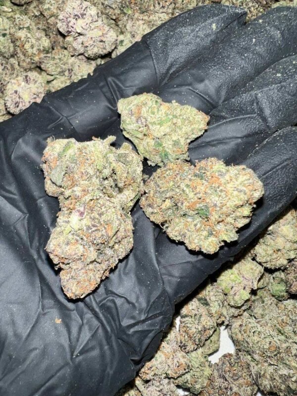 Bubble Gum Gelato THCa Flower