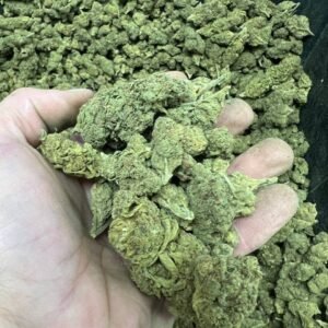 Bubblegum THCA Reggies
