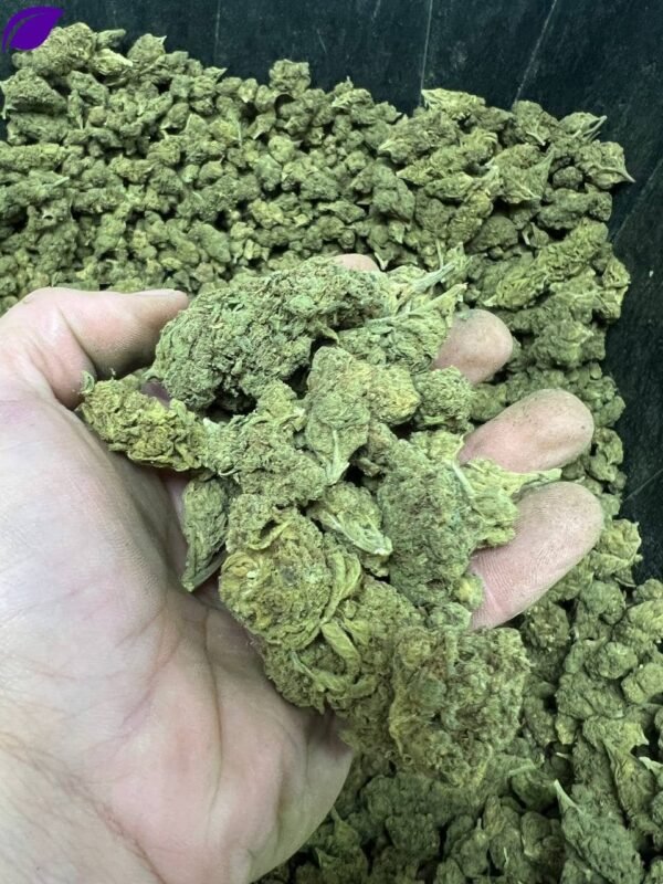 Bubblegum THCA Reggies