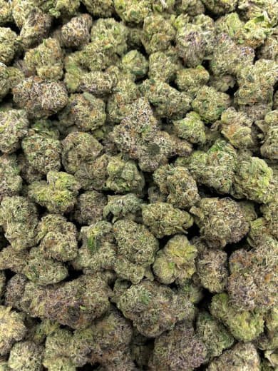 Black Russian THCa Flower - Image 2