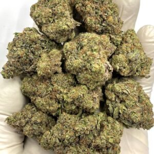 Cairo THCa Flower