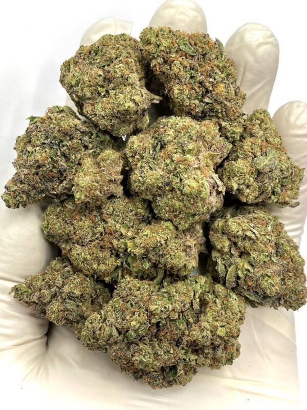 Cairo THCa Flower