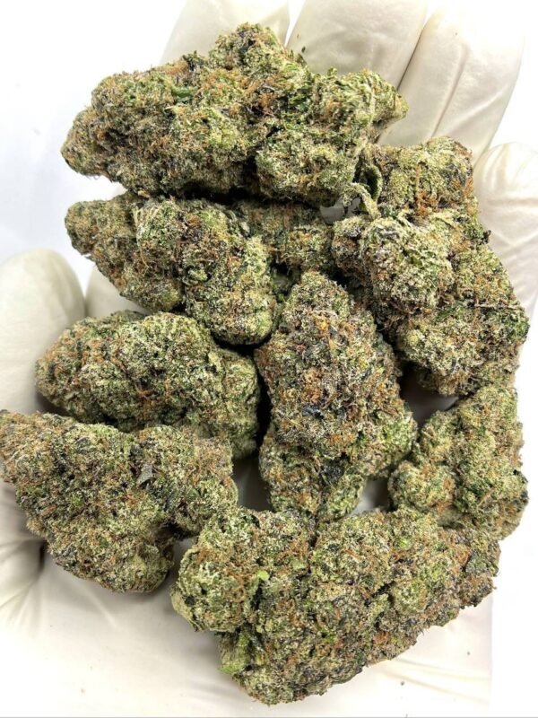 California Orange THCa Flower