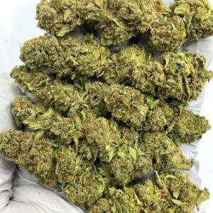 Delahaze CBD Flower
