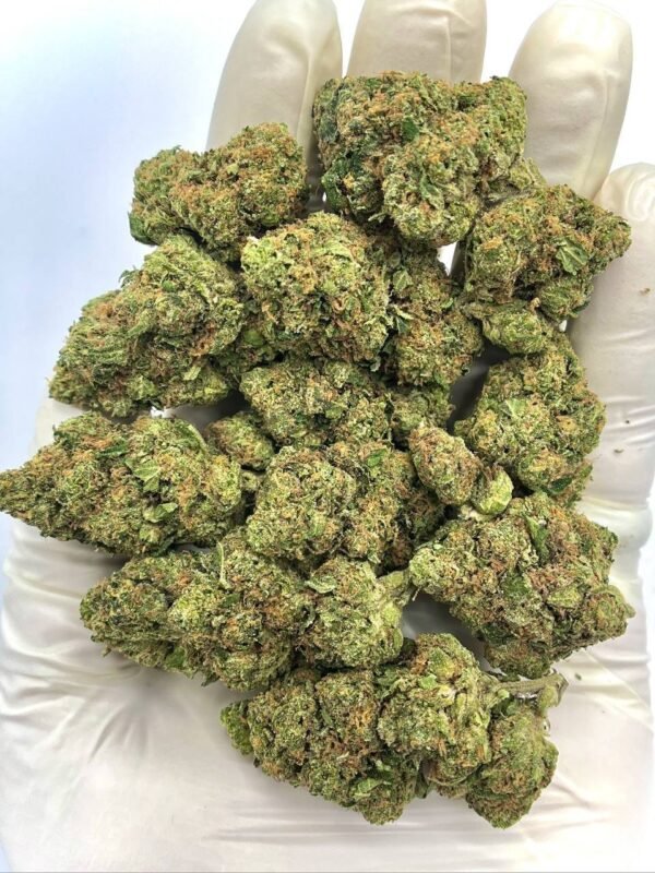 Laughing Gas THCa Flower