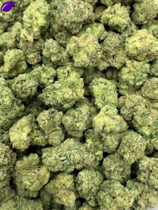 Candy Glue THCa Flower - Image 2