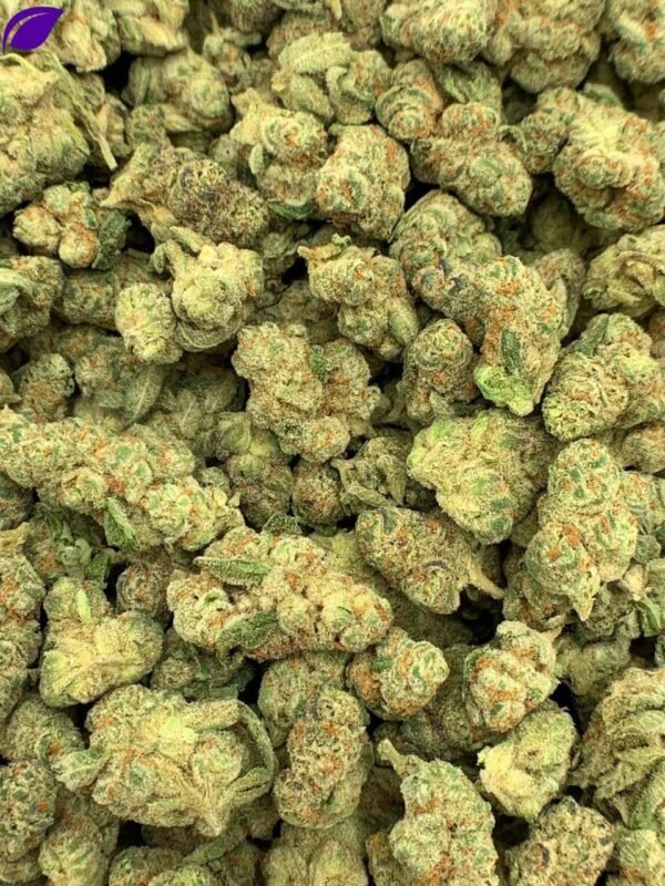Glitter Bomb Exotic THCa Flower - Image 2