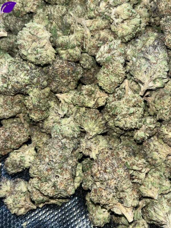 Jealousy Runtz THCA - Image 2