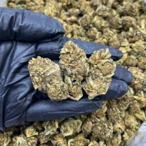 Cloud Cap CBD Strain
