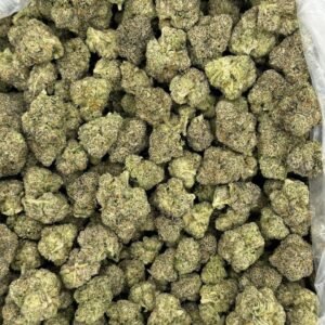Candy Bolo THCa