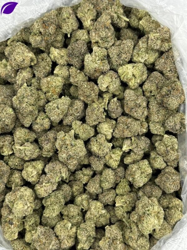Candy Bolo THCa