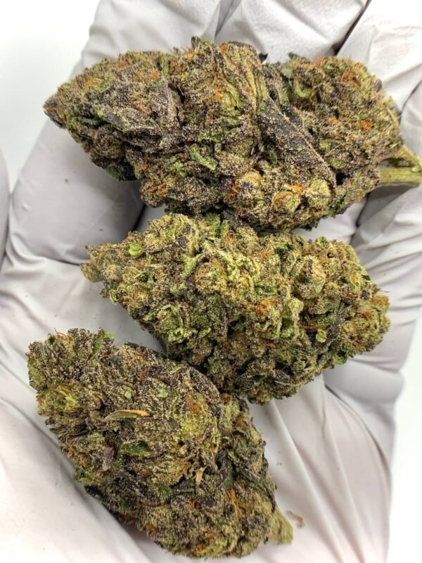 Candy Drip THCa Flower
