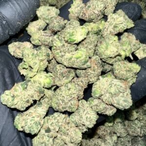 Candy Gelato Exotic THCa Flower