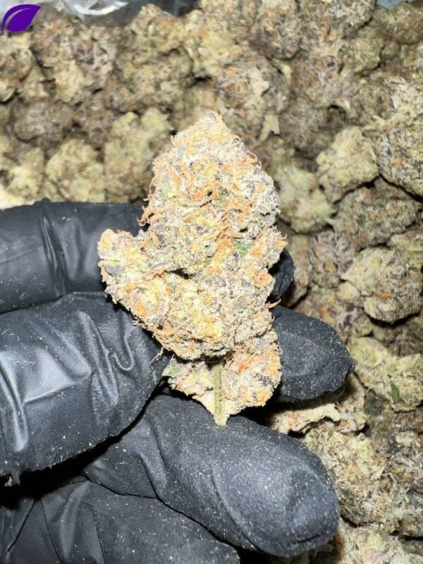 Carbon Fiber THCa Flower