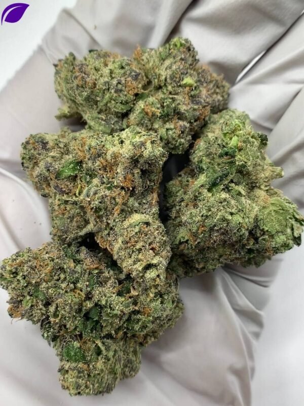 Cherry Taffy Exotic THCa Strain