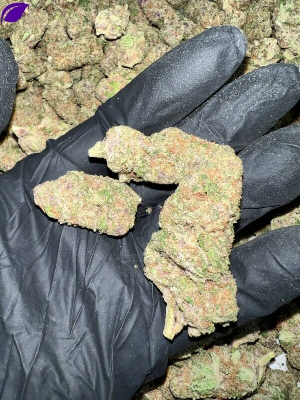 Citrus Blast THCa Flower