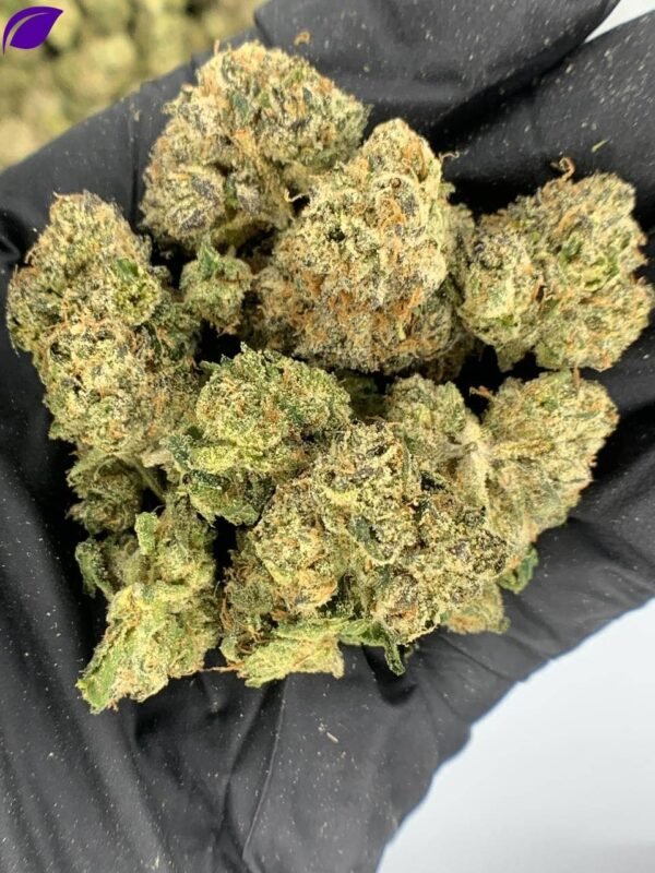 Airhead Runtz THCa Flower
