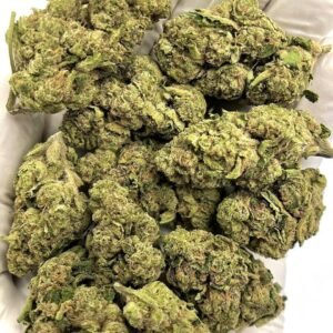 Chemango Kush CBD Flower