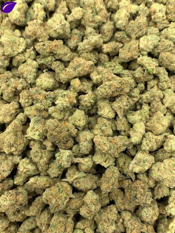 Honey Buns Exotic THCa Flower - Image 2