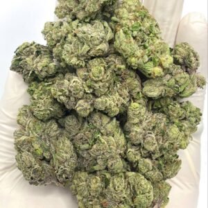 Pave Runtz THCa Flower