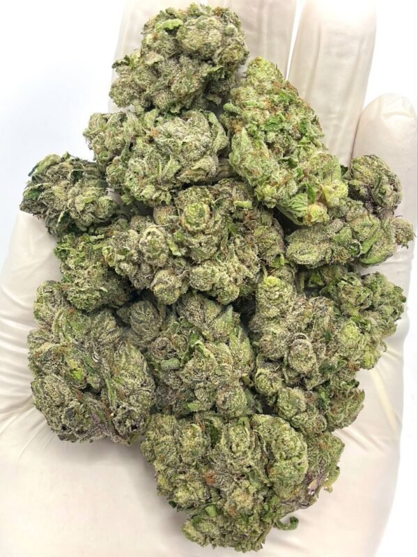 Pave Runtz THCa Flower
